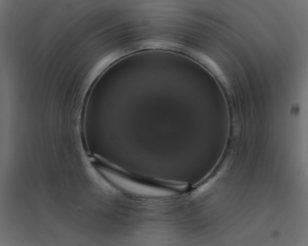 X0000094900946200712131427