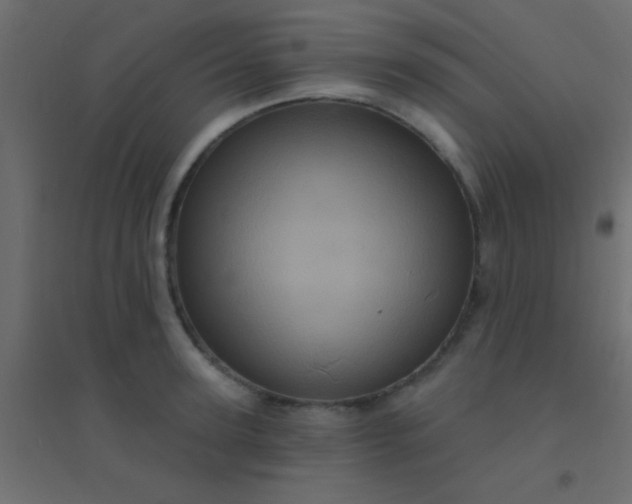 X0000094900947200712131427
