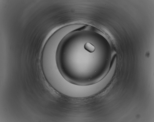 X0000094900948200712131427