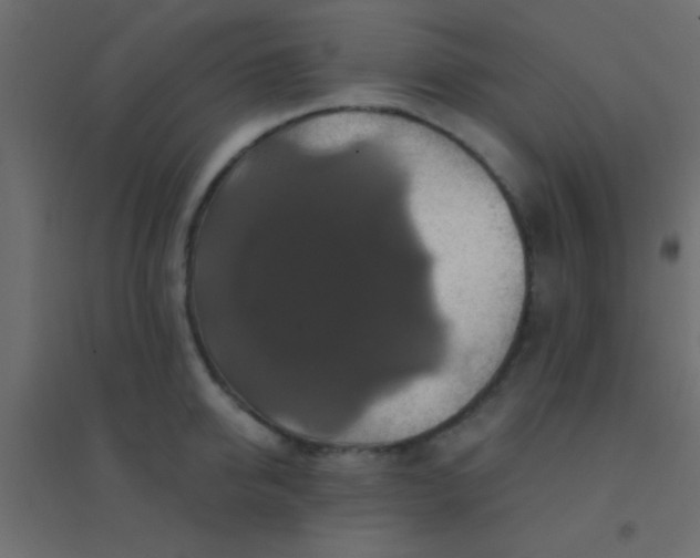X0000094900950200712131427