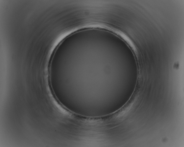 X0000094900951200712131427