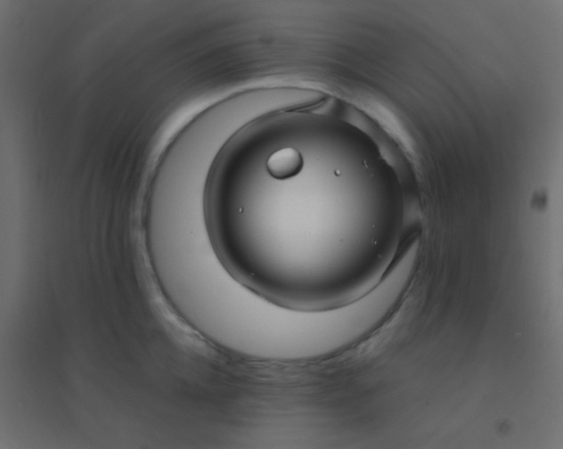 X0000094900952200712131427