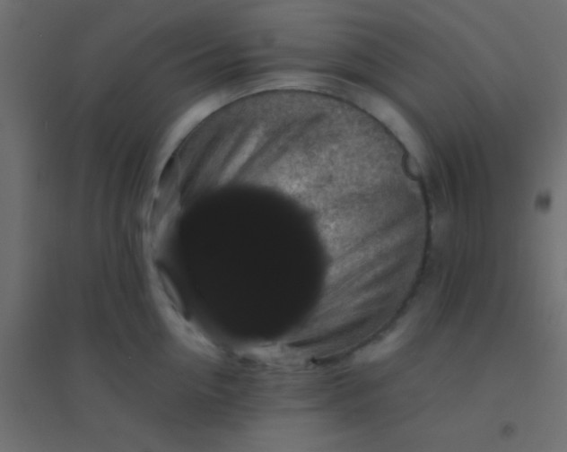 X0000094900954200712131427