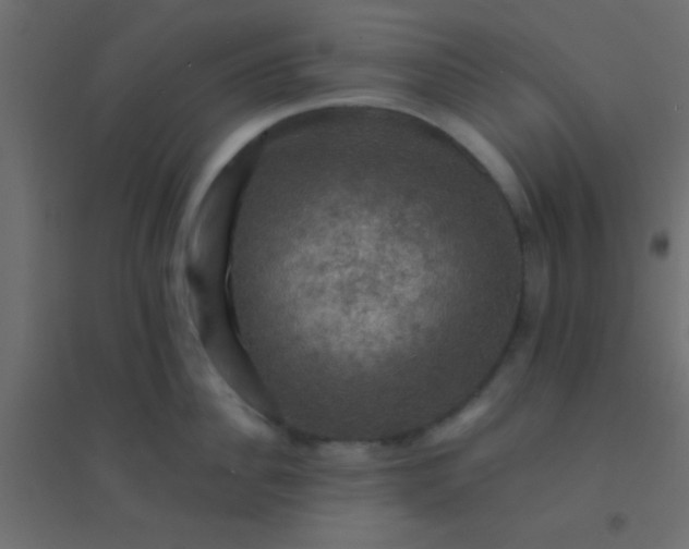 X0000094900956200712131427