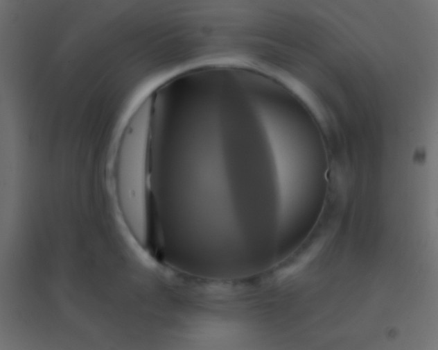 X0000094900959200712131428