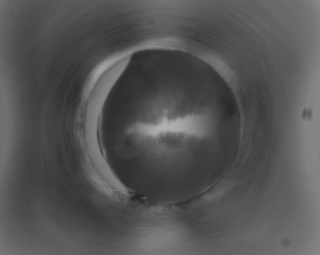 X0000094900960200712131428