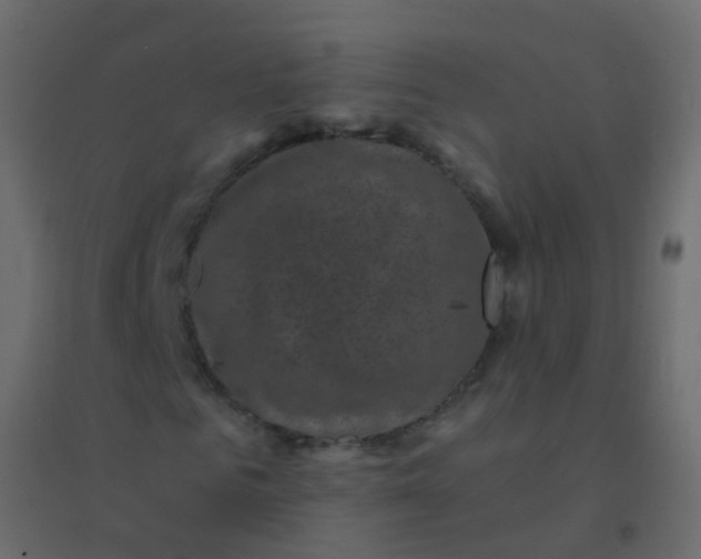 X0000094900961200712131427