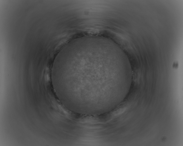 X0000094900962200712131427