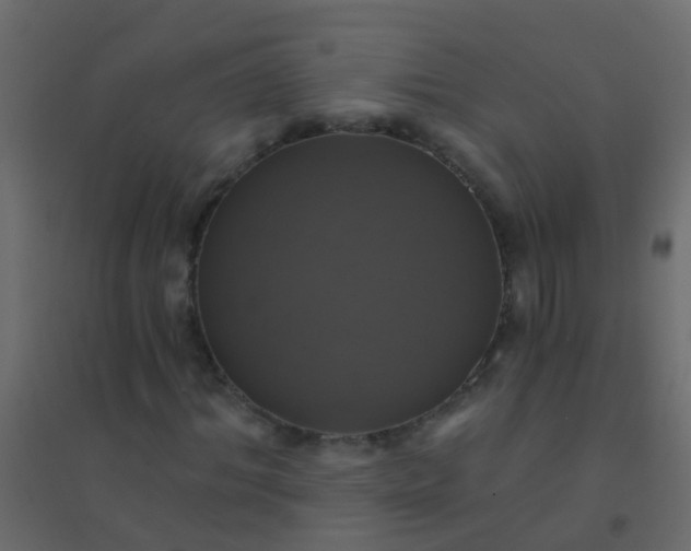X0000094900964200712131427