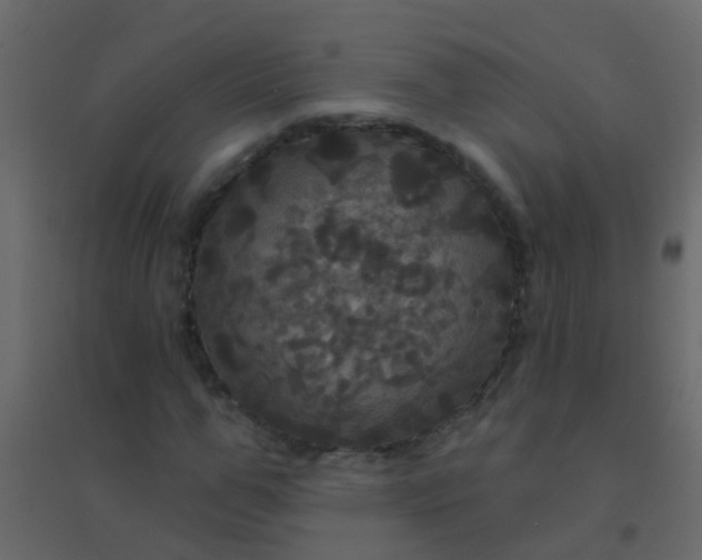 X0000094900967200712131427