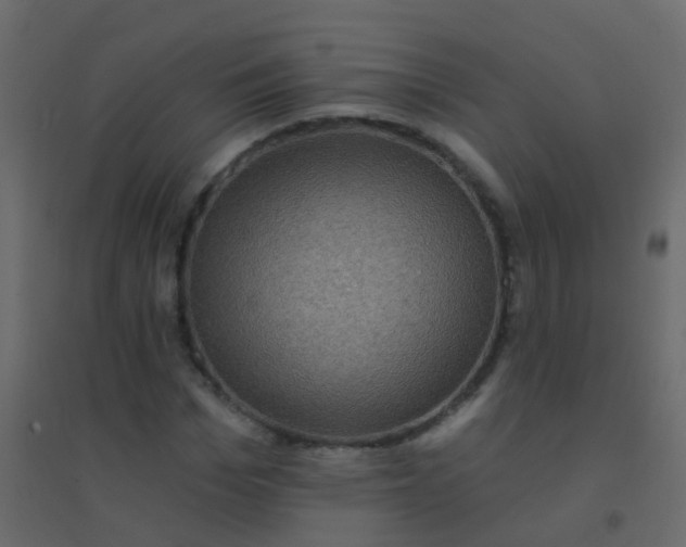 X0000094900969200712131427