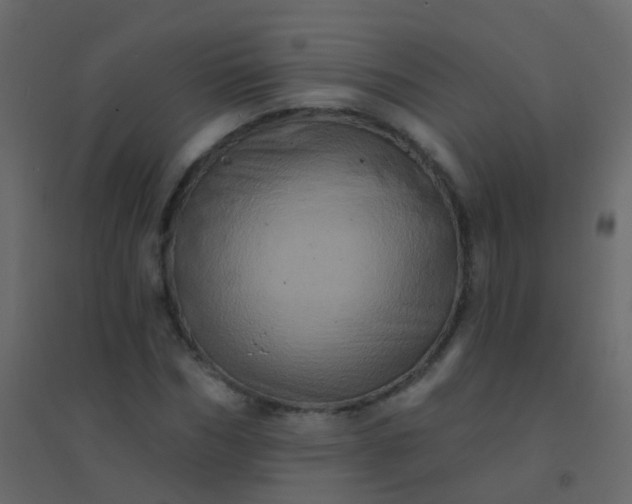 X0000094900970200712131427