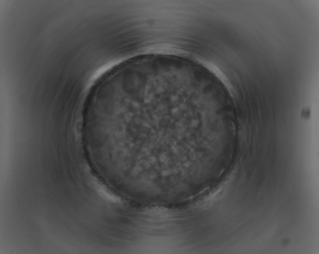 X0000094900971200712131427
