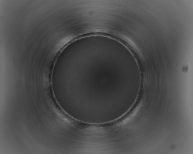 X0000094900977200712131427