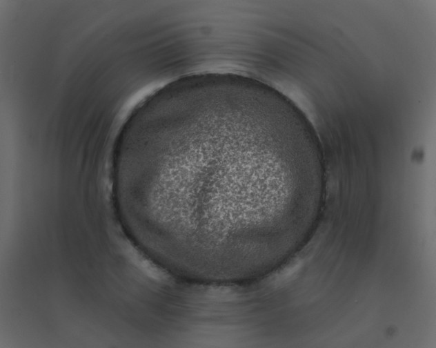 X0000094900979200712131427