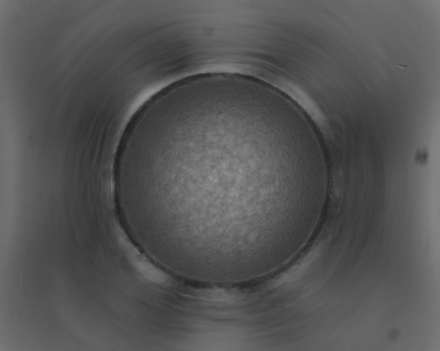 X0000094900980200712131427