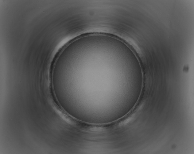 X0000094900982200712131427