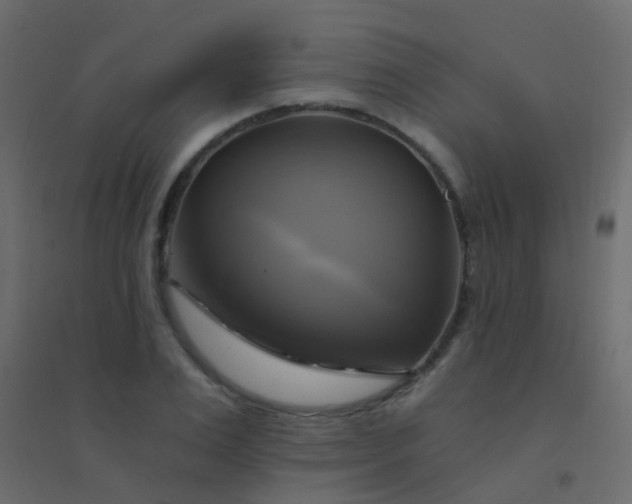 X0000094900983200712131427