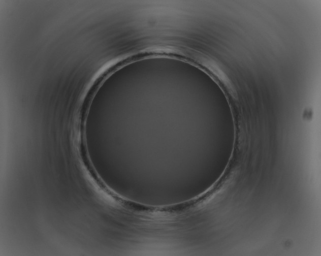 X0000094900984200712131427