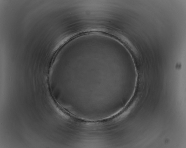 X0000094900985200712131427