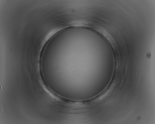 X0000094900986200712131427