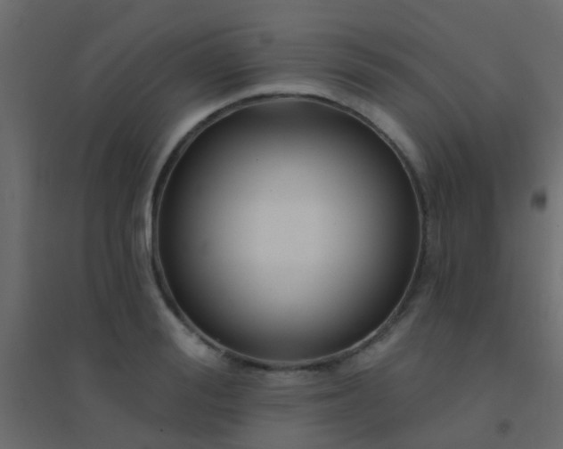 X0000094900988200712131426