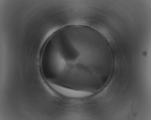 X0000094900990200712131426