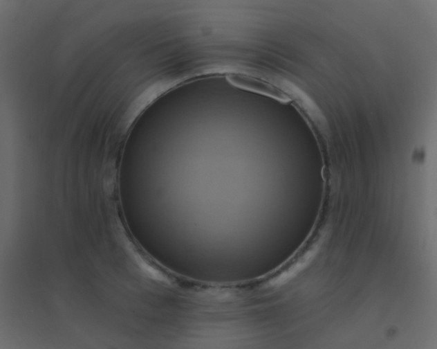 X0000094900993200712131426