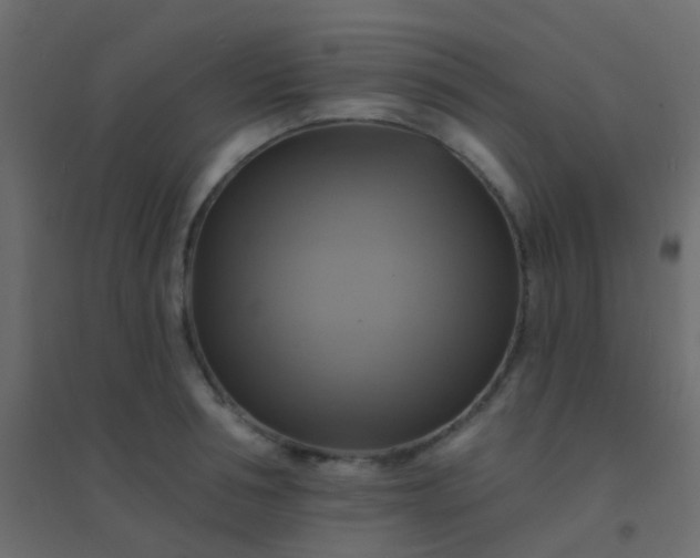 X0000094900994200712131426