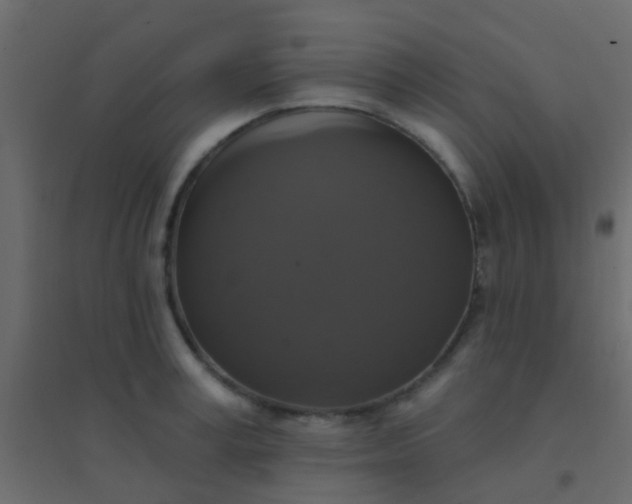 X0000094900995200712131426