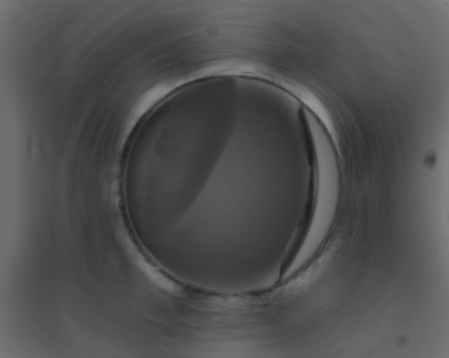 X0000094900997200712131426