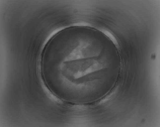 X0000094901000200712131426