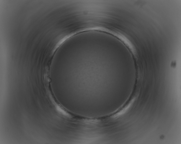 X0000094901001200712131426