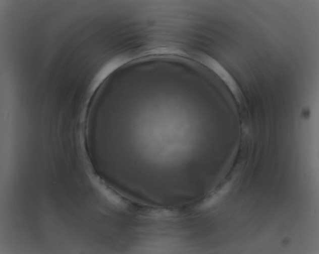 X0000094901002200712131426