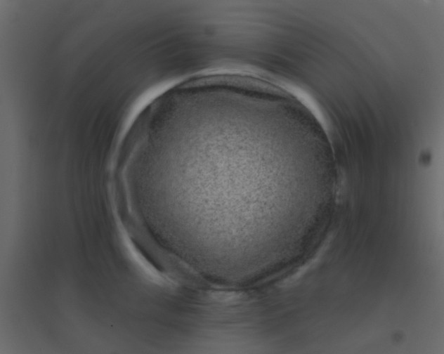 X0000094901003200712131426