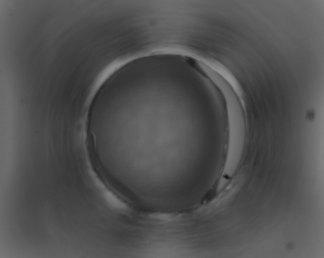 X0000094901005200712131426