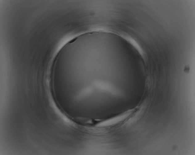 X0000094901007200712131426