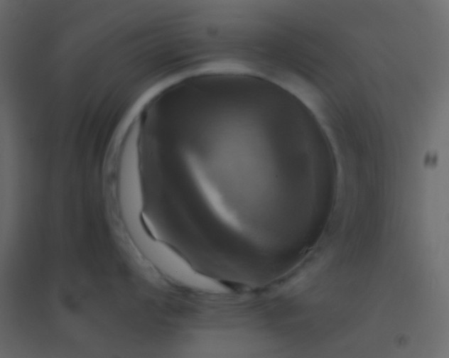 X0000094901008200712131426