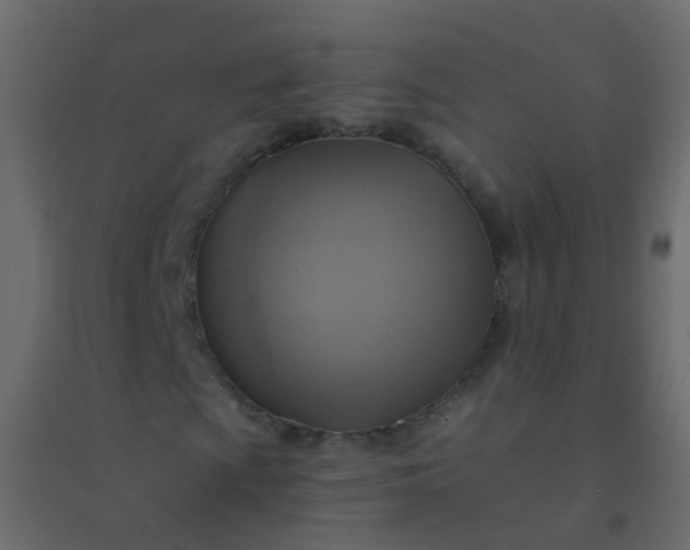 X0000094901009200712131426