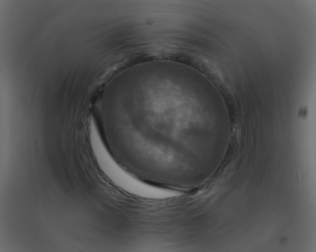 X0000094901012200712131426