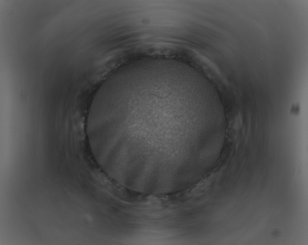 X0000094901013200712131426