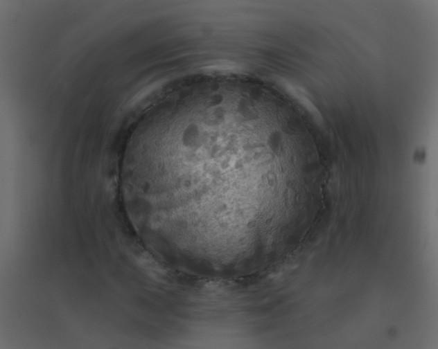 X0000094901015200712131426