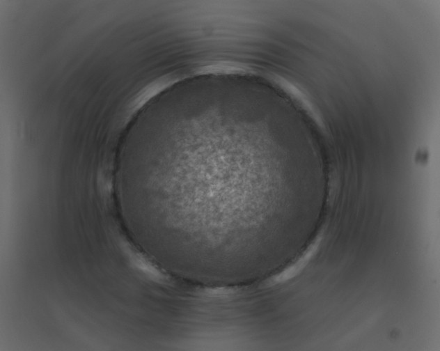 X0000094901017200712131426