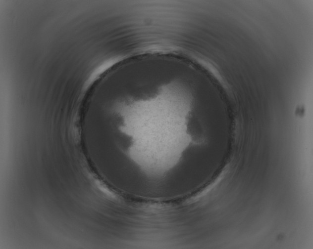 X0000094901018200712131426