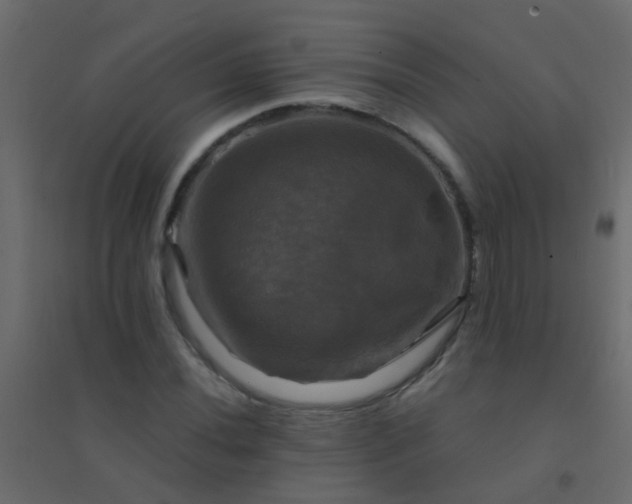 X0000094901020200712131426
