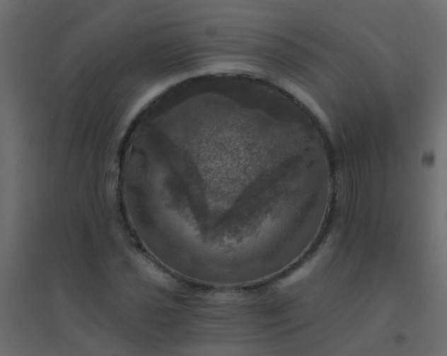 X0000094901021200712131426