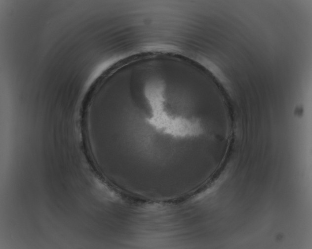 X0000094901022200712131426