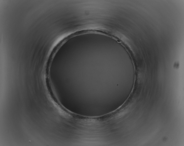 X0000094901024200712131426