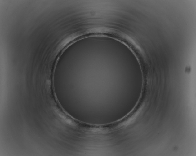 X0000094901025200712131426