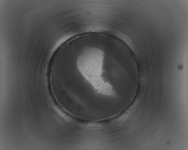 X0000094901026200712131426